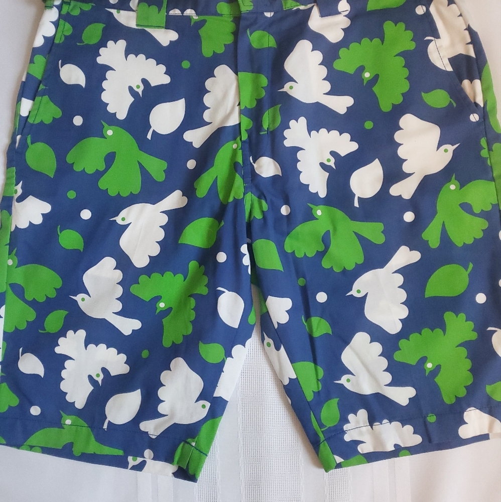 Dickies board shorts